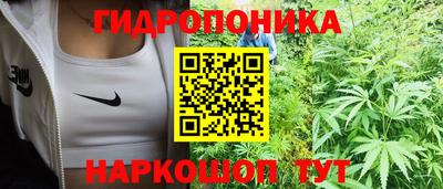 стаф Будённовск