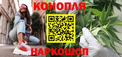 стаф Будённовск