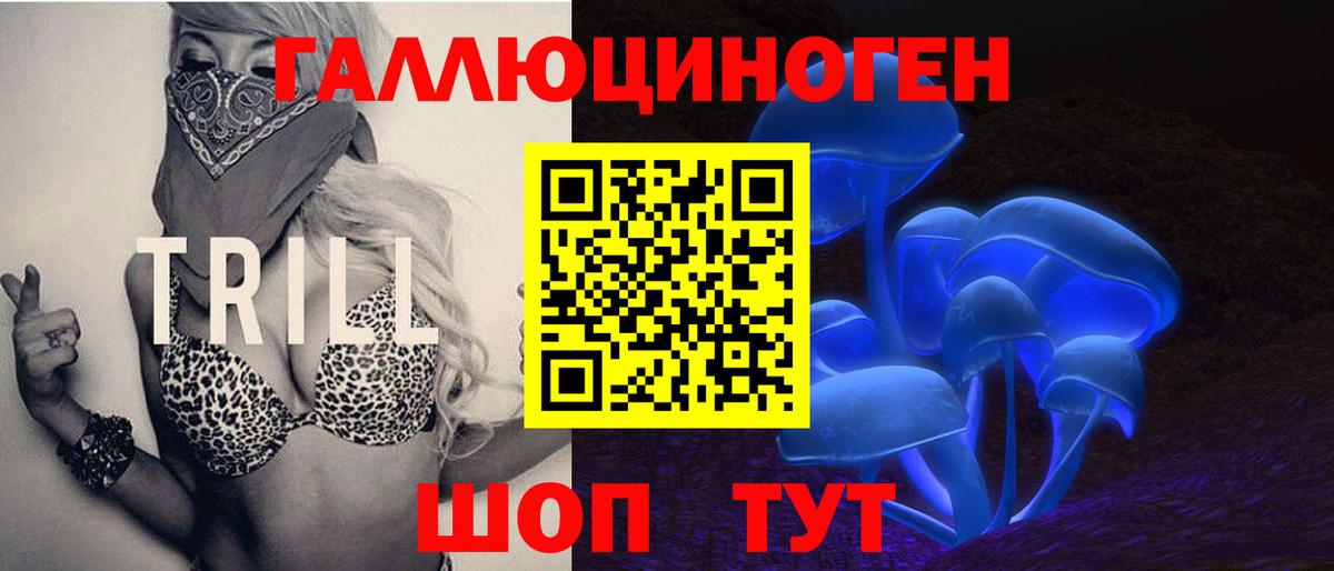 Волоколамск  закладки  Вход с VPN  Псилоцибиновые грибы GOLDEN TEACHER 